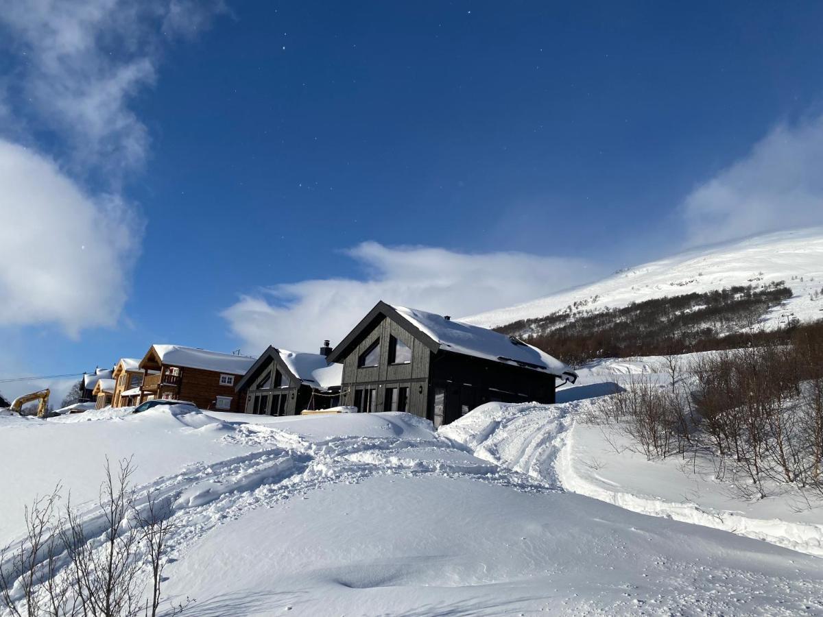 Vangslia, Oppdal. Lekker Leilighet Med Ski Inn/Ski Ut Εξωτερικό φωτογραφία